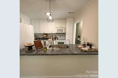 12334 Danby Road, Pineville, NC 28134 - Photo 3