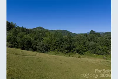 00000 Little Savannah Road, Sylva, NC 28779 - Photo 11