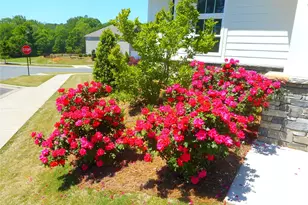 2821 Aubrey St, Monroe, NC 28110 - Photo 23