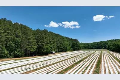 99999 Tryon Road, Rutherfordton, NC 28139 - Photo 11