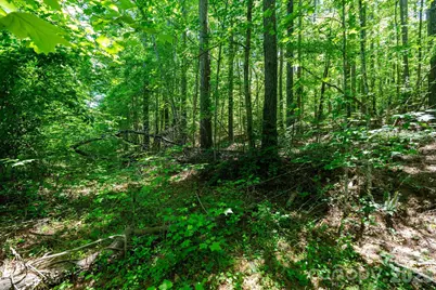 99999 Tryon Road, Rutherfordton, NC 28139 - Photo 9