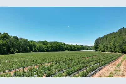 99999 Tryon Road, Rutherfordton, NC 28139 - Photo 15