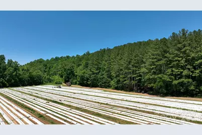 99999 Tryon Road, Rutherfordton, NC 28139 - Photo 13
