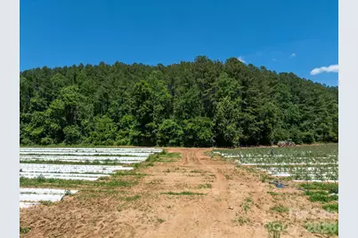 99999 Tryon Road, Rutherfordton, NC 28139 - Photo 5