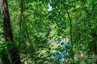 99999 Thompson Lake Road, Rutherfordton, NC 28139 - Photo 11