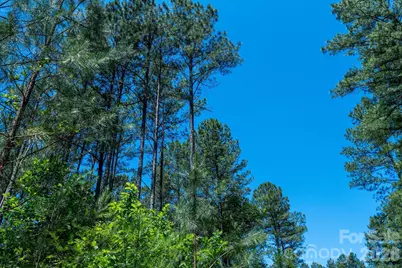 99999 Thompson Lake Road, Rutherfordton, NC 28139 - Photo 19