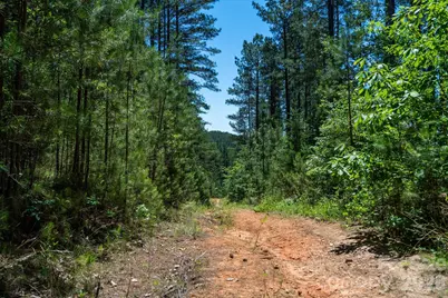99999 Thompson Lake Road, Rutherfordton, NC 28139 - Photo 15