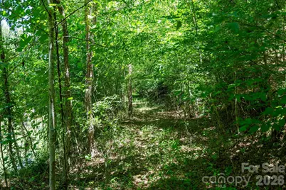 99999 Thompson Lake Road, Rutherfordton, NC 28139 - Photo 13