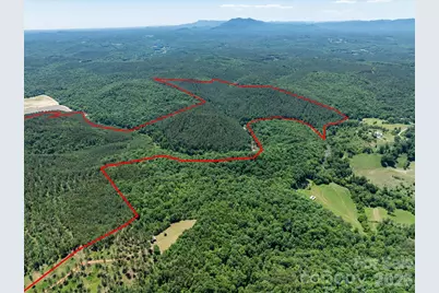 99999 Thompson Lake Road, Rutherfordton, NC 28139 - Photo 3