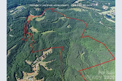 1194 Palmer Road, Mill Spring, NC 28756 - Photo 29