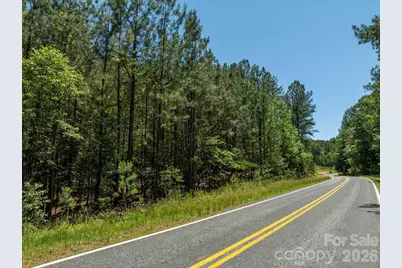 9999 Clark Road, Rutherfordton, NC 28139 - Photo 3