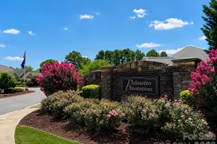 131 Sea Island Blvd, Fort Mill, SC 29708 - Photo 41