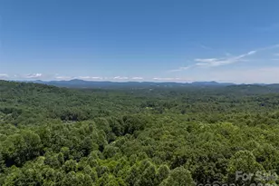 2 Meadow Ridge Ln, Hendersonville, NC 28739 - Photo 43