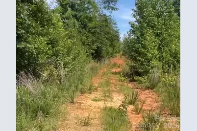 000 Promise Pride Drive, Edgemoor, SC 29712 - Photo 3