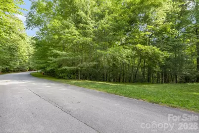 Tbd Allison Creek Trail #A5, Brevard, NC 28712 - Photo 19