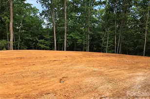 332 Point Carpenter Rd, Indian Land, SC 29707 - Photo 11