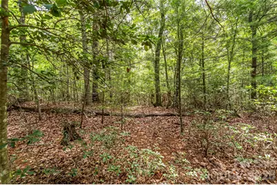 2040 Hampson Road, Morganton, NC 28655 - Photo 11