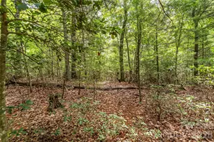 2040 Hampson Rd, Morganton, NC 28655 - Photo 11