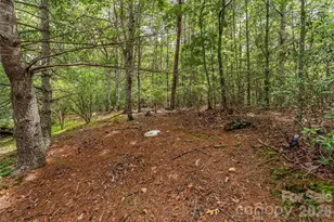 2040 Hampson Rd, Morganton, NC 28655 - Photo 13
