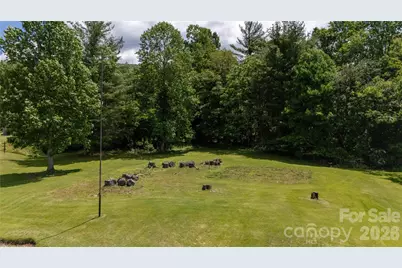 1424 Bear Creek Road, Bakersville, NC 28705 - Photo 31