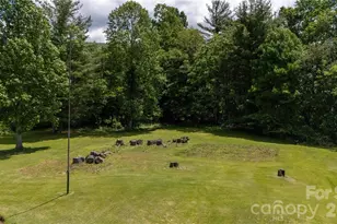 1424 Bear Creek Rd, Bakersville, NC 28705 - Photo 31