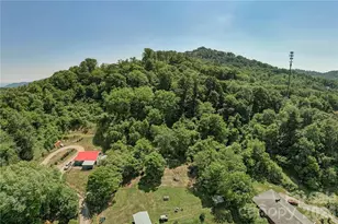 415 Weaverville Rd, Asheville, NC 28804 - Photo 43