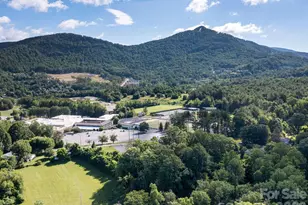 35 Cedar Farm Rd, Asheville, NC 28803 - Photo 31