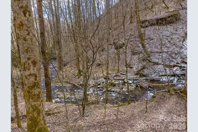 1668 Buff Creek Road, Sylva, NC 28779 - Photo 41