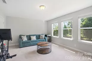 10420 Daufuskie Dr, Charlotte, NC 28278 - Photo 29