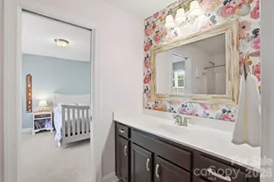 10420 Daufuskie Dr, Charlotte, NC 28278 - Photo 33