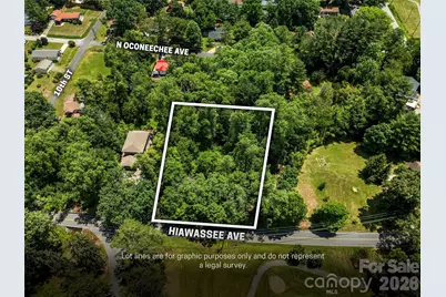 742 Hiawassee Avenue, Black Mountain, NC 28711 - Photo 9