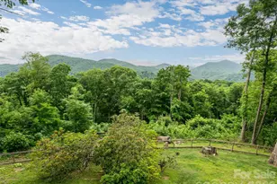 243 Pioneer Ridge Rd, Canton, NC 28716 - Photo 3