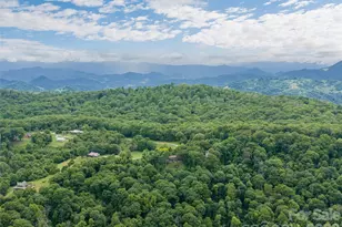 243 Pioneer Ridge Rd, Canton, NC 28716 - Photo 47