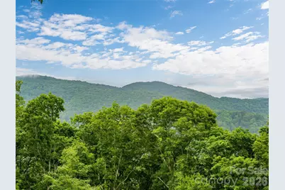243 Pioneer Ridge Road, Canton, NC 28716 - Photo 35
