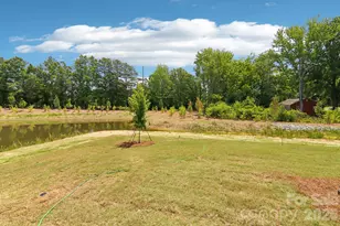 9048 Foggy Brook Loop, Charlotte, NC 28216 - Photo 19