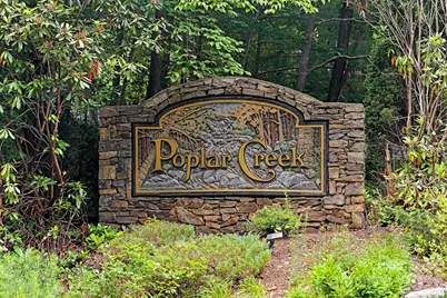 36 Poplar Creek Drive, Asheville, NC 28805 - Photo 33