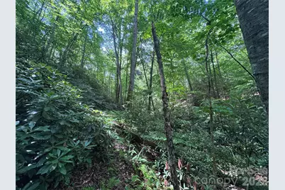 10A Reserve Road, Brevard, NC 28768 - Photo 7