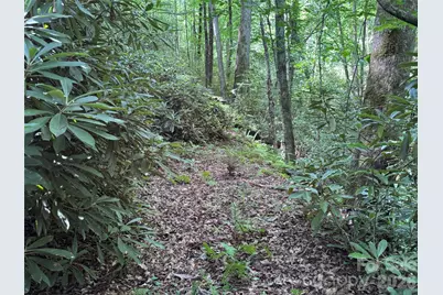 10A Reserve Road, Brevard, NC 28768 - Photo 9