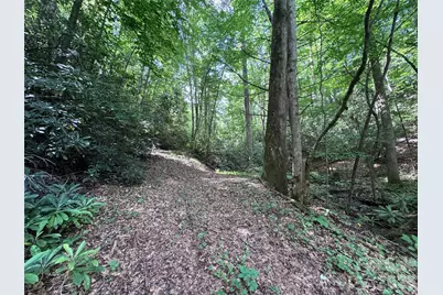 10A Reserve Road, Brevard, NC 28768 - Photo 17
