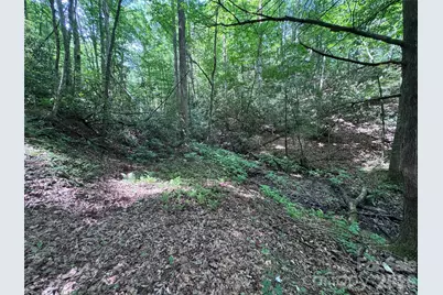 10A Reserve Road, Brevard, NC 28768 - Photo 15