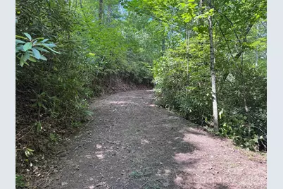 10A Reserve Road, Brevard, NC 28768 - Photo 31