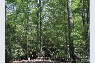 10A Reserve Road, Brevard, NC 28768 - Photo 25