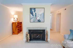 102 Rough Point Ct, Asheville, NC 28806 - Photo 19