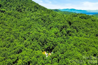 173 Camp Elliott Road, Black Mountain, NC 28711 - Photo 41
