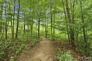 4030 Garden Oak Dr, Indian Trail, NC 28079 - Photo 47