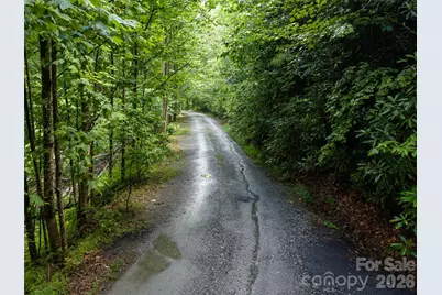 78 Boyd View Lane, Mills River, NC 28759 - Photo 47