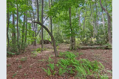 3106 Essex Path, Hendersonville, NC 28791 - Photo 47