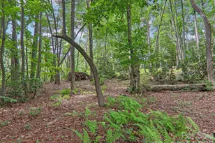 3106 Essex Path, Hendersonville, NC 28791 - Photo 47
