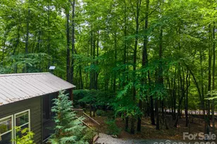 243 Jonquil Woods Rd, Franklin, NC 28734 - Photo 43