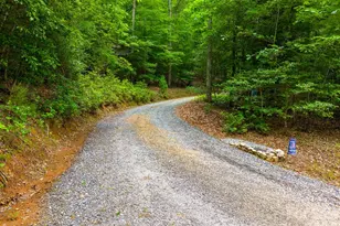 243 Jonquil Woods Rd, Franklin, NC 28734 - Photo 29